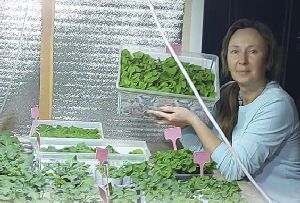 Благодаря соцконтракту жительница села Прелестное Белгородской области развивает личное подсобное хозяйство