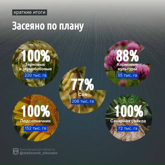 В Белгородской области завершается весенняя посевная кампания